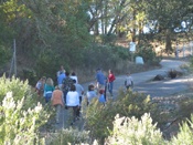 All the Oaks Trail Hikers
